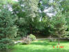 2003-09-05-SY-059.jpg (99642 bytes)