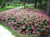 2003-09-05-SY-060.jpg (103467 bytes)