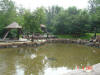 2003-09-05-SY-067.jpg (71912 bytes)