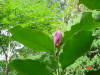 2003-09-05-SY-075.jpg (85388 bytes)