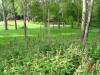 2003-09-05-SY-083.jpg (96096 bytes)