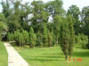 2003-09-05-SY-084.jpg (88627 bytes)