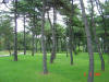 2003-09-05-SY-092.jpg (77022 bytes)
