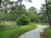 2003-09-05-SY-103.jpg (79478 bytes)