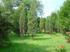 2003-09-05-SY-104.jpg (85354 bytes)