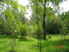 2003-09-05-SY-105.jpg (98685 bytes)