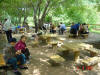 2003-09-05-SY-129.jpg (83742 bytes)