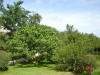 2003-09-05-SY-137.jpg (83772 bytes)