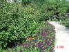 2003-09-05-SY-138.jpg (118873 bytes)