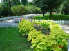 2003-09-05-SY-141.jpg (90053 bytes)