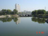 2003-10-19-SY-046.jpg (30800 bytes)