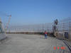 2003-10-19-SY-076.jpg (40708 bytes)