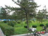 2003-10-VAR-SY-32.jpg (77708 bytes)