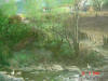 2004-02-16-SY-03.jpg (64939 bytes)