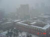 2004-02-21-SY-11.jpg (33087 bytes)