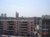 2004-05-08-SY-43.jpg (38493 bytes)
