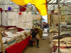 2004-05-08-SY-51.jpg (72382 bytes)