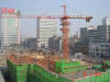 2004-Spring-SY-01.jpg (65673 bytes)