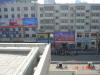 2004-Spring-SY-02.jpg (59337 bytes)