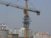2004-Spring-SY-04.jpg (36405 bytes)