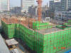 2004-Spring-SY-12.jpg (77296 bytes)