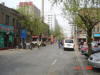 2004-Spring-SY-25.jpg (66905 bytes)